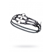 Черный кожаный пояс с кольцами - Pecado - купить с доставкой в Прокопьевске Черный кожаный пояс с кольцами - Pecado - купить с доставкой в Прокопьевске