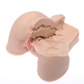 Мастурбатор-полуторс Naked Factory Kate - Naked Factory - в Прокопьевске купить с доставкой