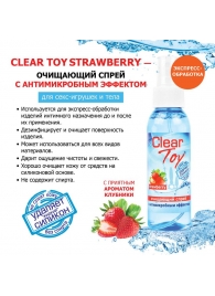 Очищающий спрей для игрушек CLEAR TOY Strawberry - 100 мл. - Биоритм - купить с доставкой в Прокопьевске