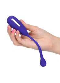 Фиолетовый шарик с электростимуляцией и вибрацией Intimate E-Stimulator Remote Kegel Exerciser - California Exotic Novelties - купить с доставкой в Прокопьевске