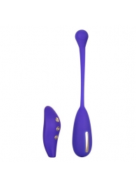 Фиолетовый шарик с электростимуляцией и вибрацией Intimate E-Stimulator Remote Kegel Exerciser - California Exotic Novelties - купить с доставкой в Прокопьевске