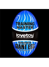 Мастурбатор-яйцо Giant Egg Climax Spirals Edition - Lovetoy - в Прокопьевске купить с доставкой