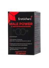 Капсулы для мужчин Erotichard male power с пантогематогеном - 20 капсул (0,370 гр.) - Erotic Hard - купить с доставкой в Прокопьевске