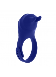 Синее эрекционное виброкольцо с клиторальной подушечкой и пультом ДУ Adjustable Fun Ring - Zero Tolerance - в Прокопьевске купить с доставкой
