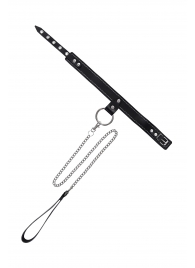 Черный узкий однослойный ошейник с серебристым поводком-цепочкой - Pecado - купить с доставкой в Прокопьевске