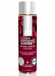 Лубрикант на водной основе с ароматом малины JO Flavored Raspberry Sorbet - 120 мл. - System JO - купить с доставкой в Прокопьевске