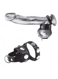 Утяжка для мошонки и пениса Cock Ring With 1  Ball Stretcher And Optional Weight Ring - BlueLine - купить с доставкой в Прокопьевске