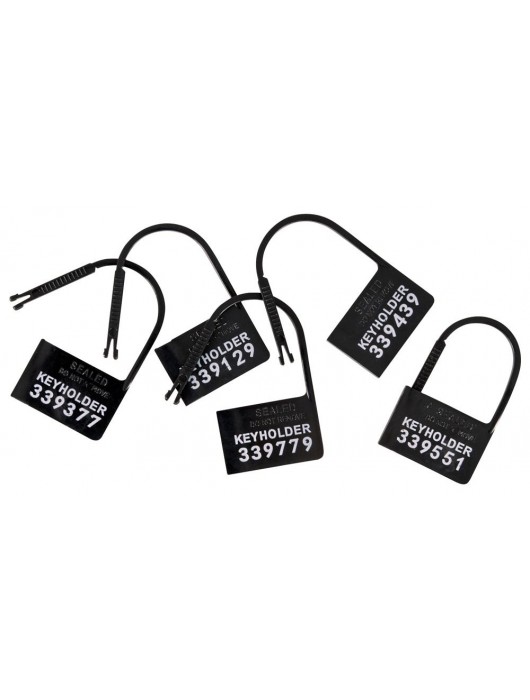 Набор для мужского пояса верности Cock Cage Set - Orion - купить с доставкой в Прокопьевске