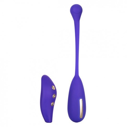 Фиолетовый шарик с электростимуляцией и вибрацией Intimate E-Stimulator Remote Kegel Exerciser - California Exotic Novelties - купить с доставкой в Прокопьевске