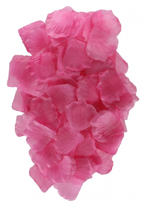 Эротический набор FANTASTIC PURPLE SEX TOY KIT - Toy Joy - купить с доставкой в Прокопьевске