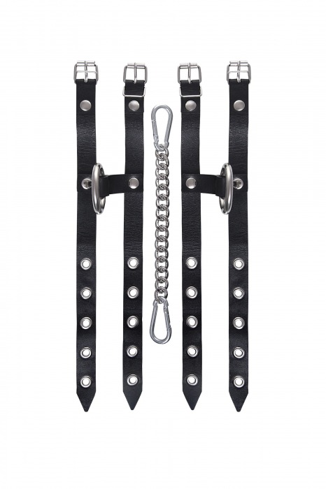 Черные однослойные кожаные оковы из двух ремешков - Pecado - купить с доставкой в Прокопьевске