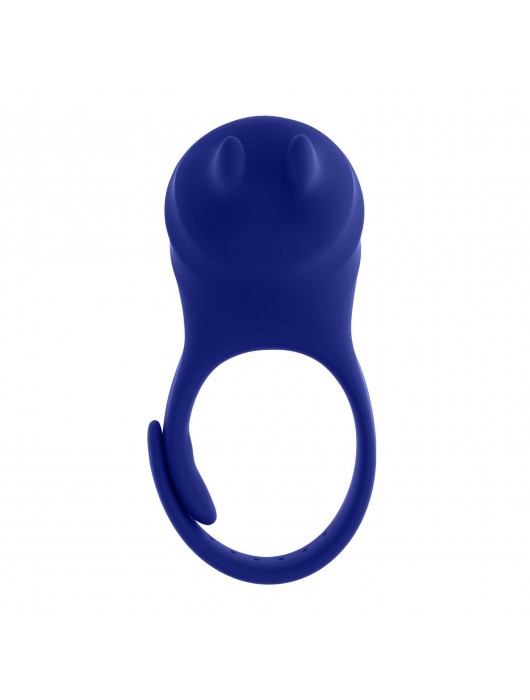 Синее эрекционное виброкольцо с клиторальной подушечкой и пультом ДУ Adjustable Fun Ring - Zero Tolerance - в Прокопьевске купить с доставкой