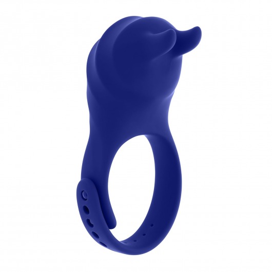 Синее эрекционное виброкольцо с клиторальной подушечкой и пультом ДУ Adjustable Fun Ring - Zero Tolerance - в Прокопьевске купить с доставкой