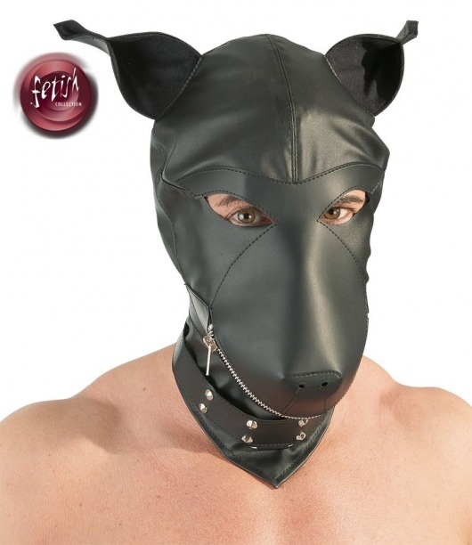 Шлем-маска Dog Mask в виде морды собаки - Orion - купить с доставкой в Прокопьевске