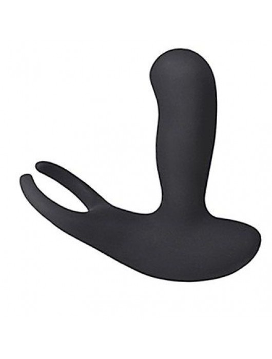 Стимулятор простаты Levett Earl с 2 моторами и пультом ДУ - Levett - в Прокопьевске купить с доставкой