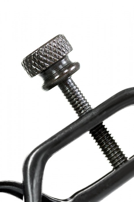 Черно-золотистые зажимы для сосков TOYFA Theatre - ToyFa - купить с доставкой в Прокопьевске