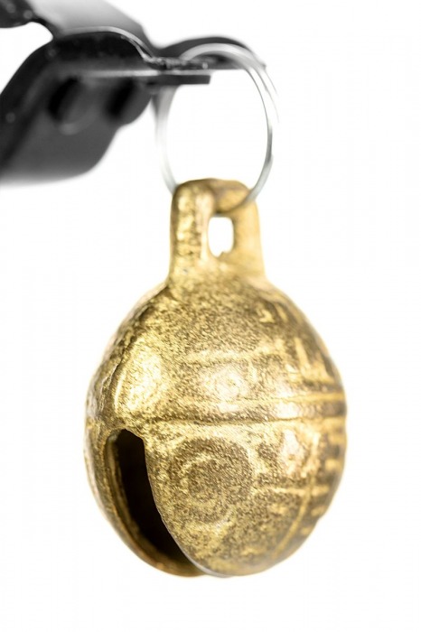 Черно-золотистые зажимы для сосков TOYFA Theatre - ToyFa - купить с доставкой в Прокопьевске